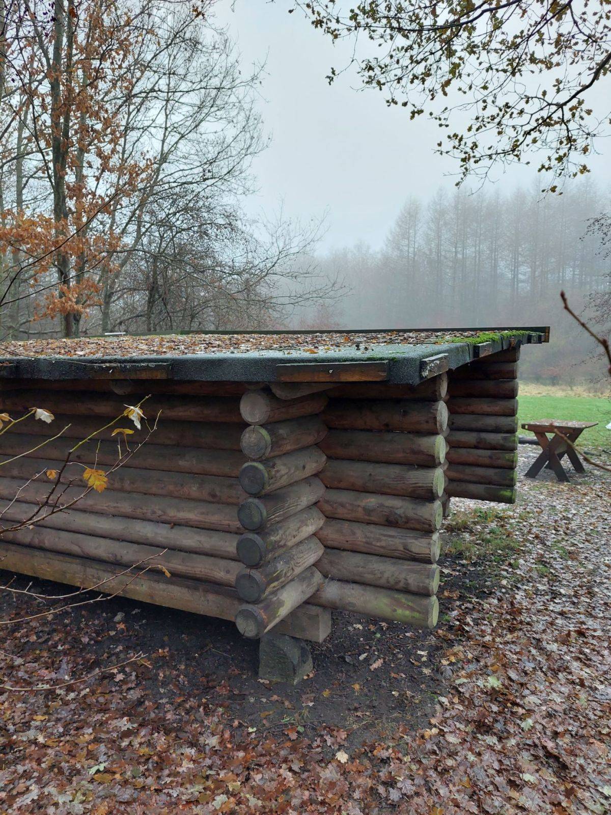 Billede af shelter Shelter i Brendstrup Skov