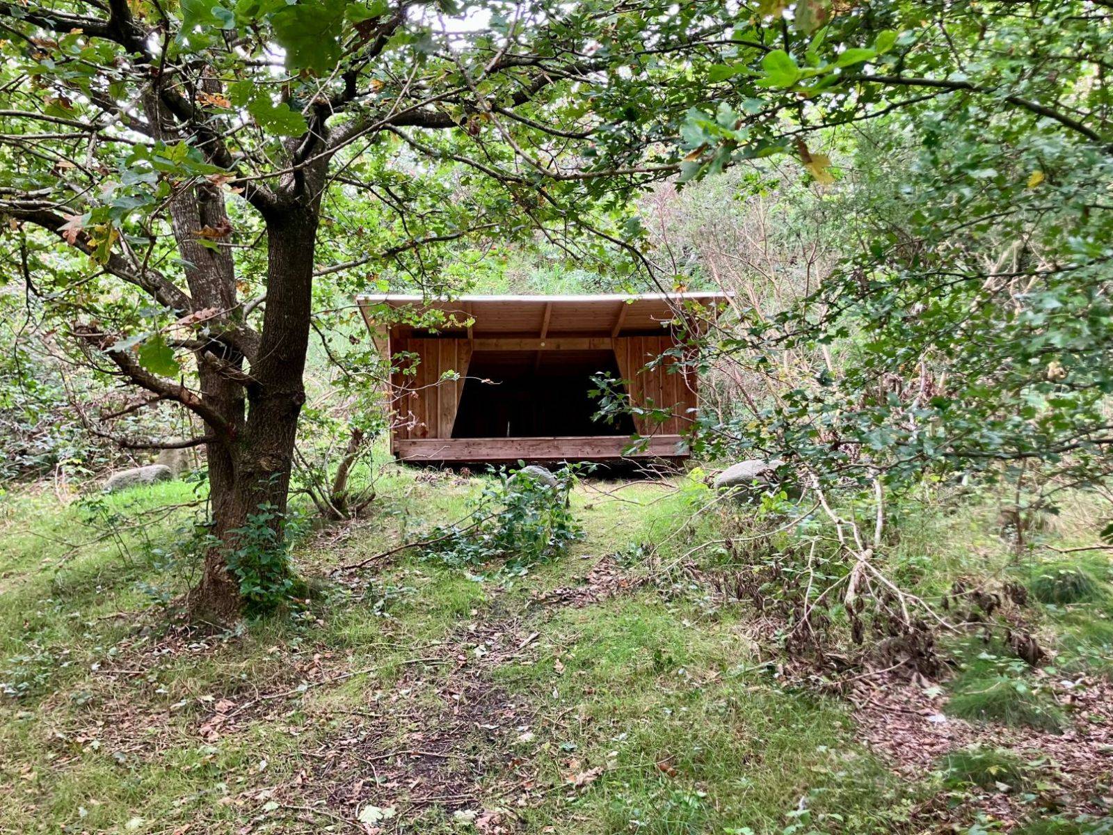 Billede af shelter Shelter ved Salling Natursti – billede 2