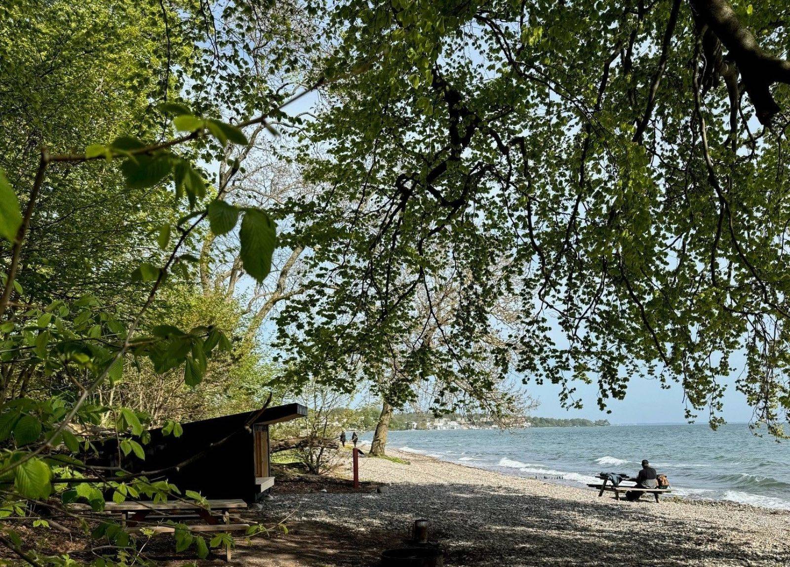 Billede af shelter Strandmølle Strand, shelter