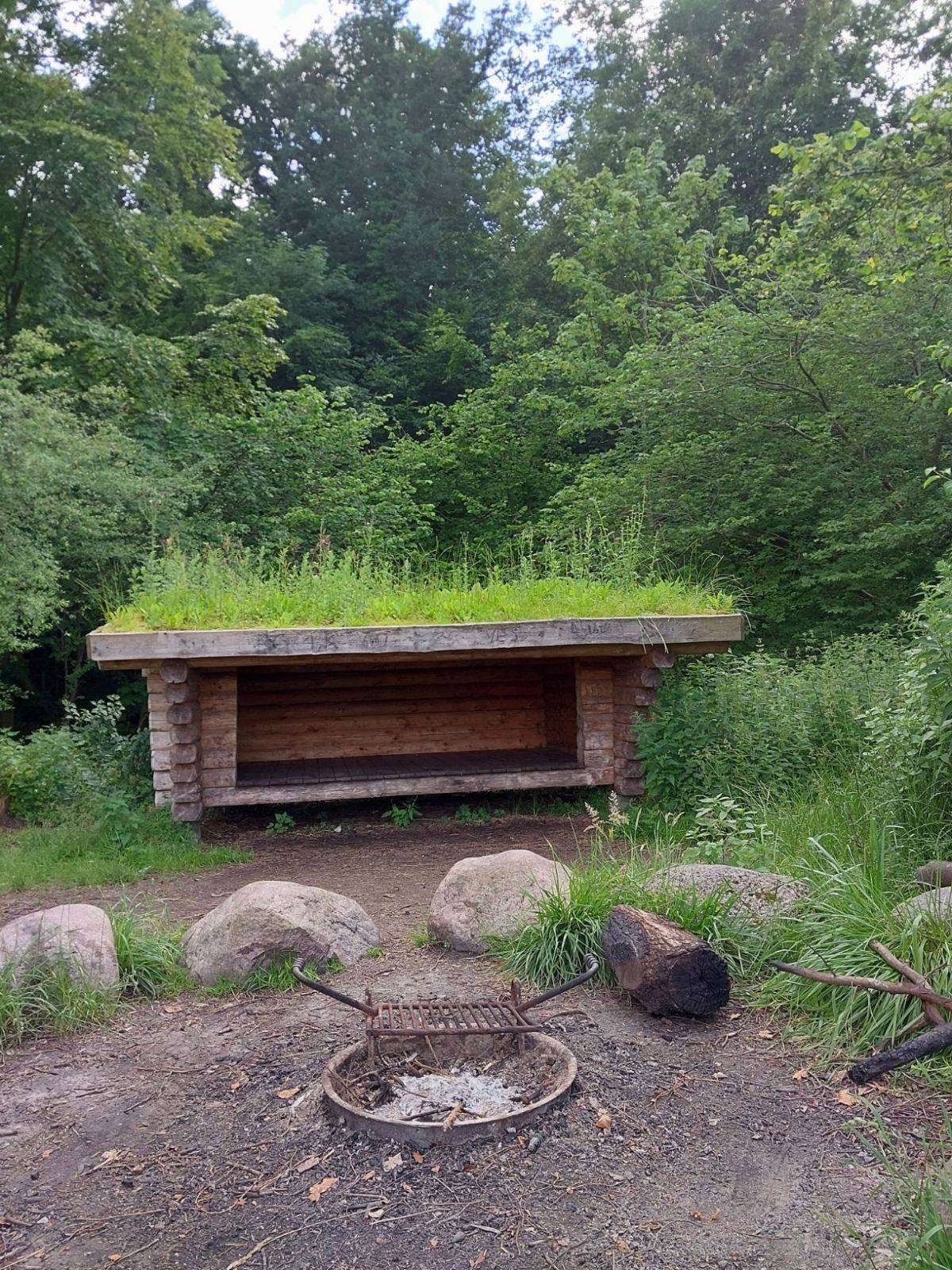 Billede af shelter Kong Roar Shelterpladsen, Boserup Skov – billede 7