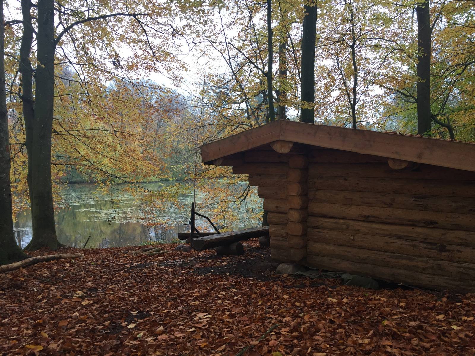 Billede af shelter Rold Skov Shelter