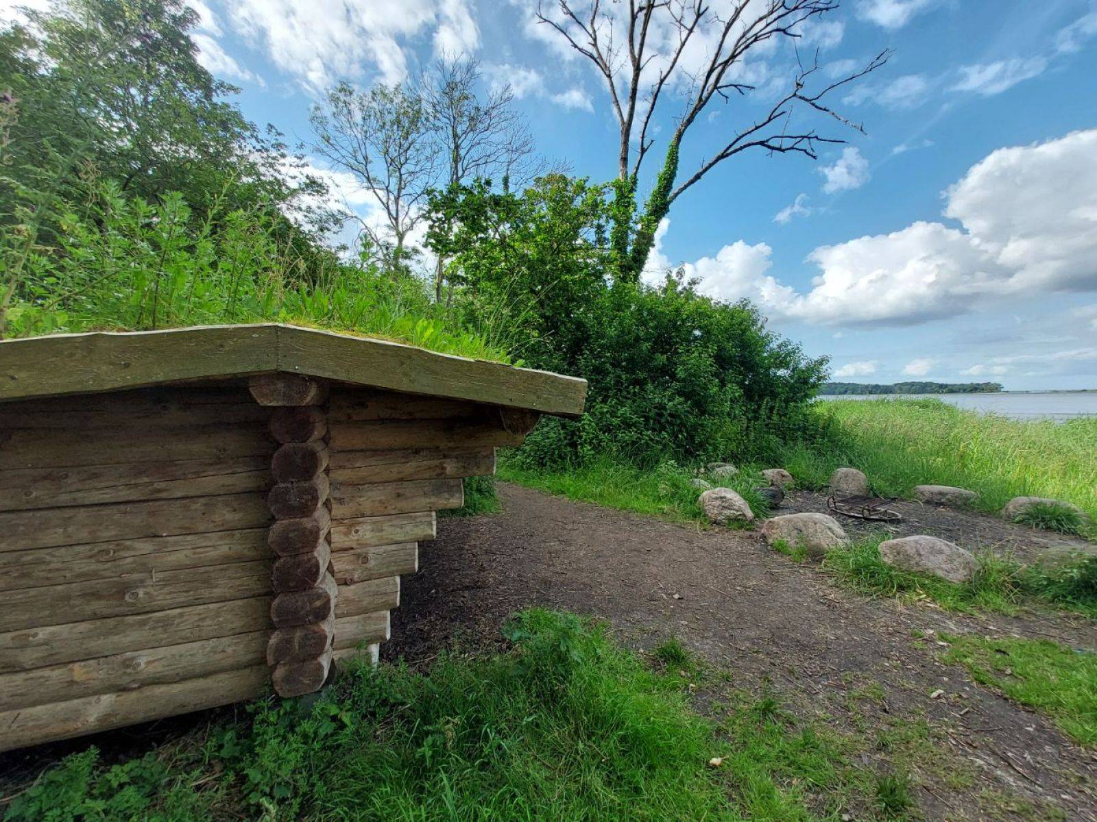 Billede af shelter Kong Roar Shelterpladsen, Boserup Skov – billede 2