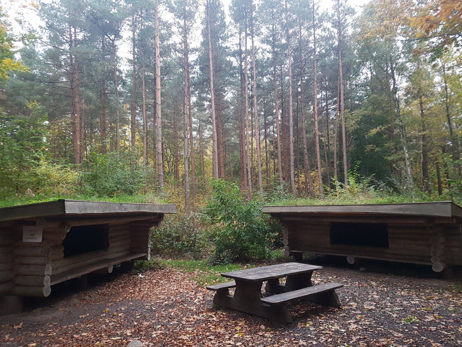 Billede af shelter Shelter Hasle Lystskov.                            – billede 3