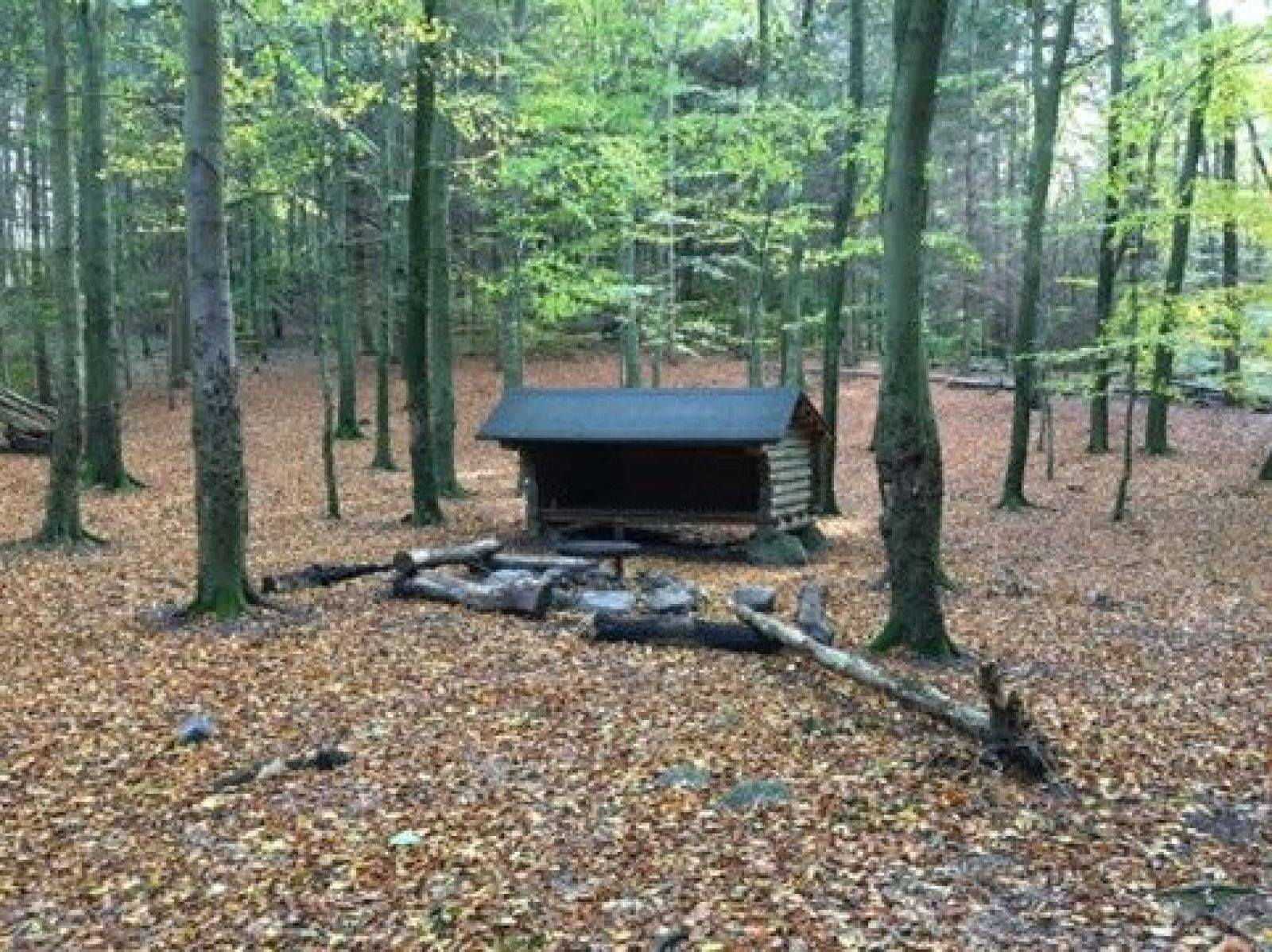 Billede af shelter Shelter i Moesgård Skov