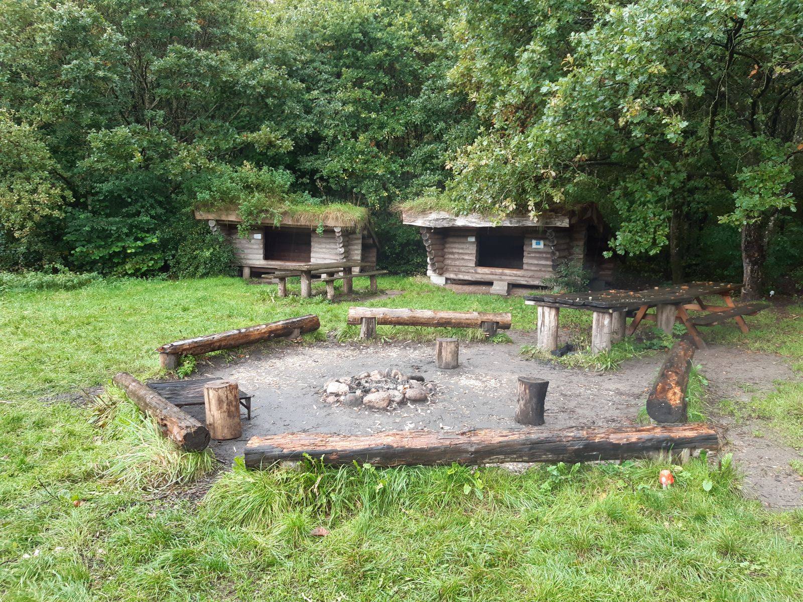 Billede af shelter Shelterpladsen ved Hald                               – billede 2
