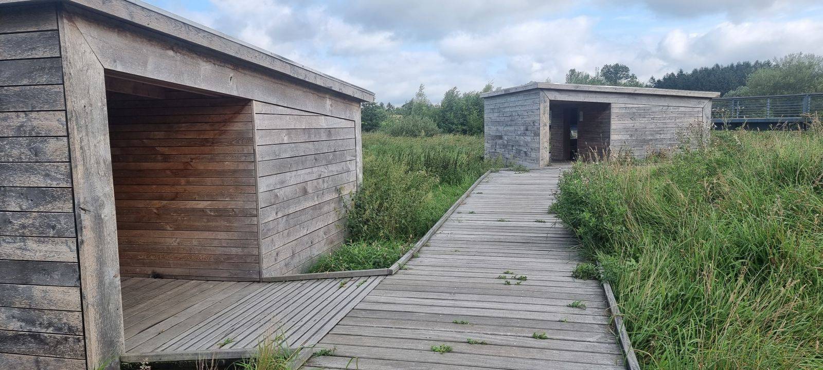 Billede af shelter Dybvadbro Station: Åshelter 2