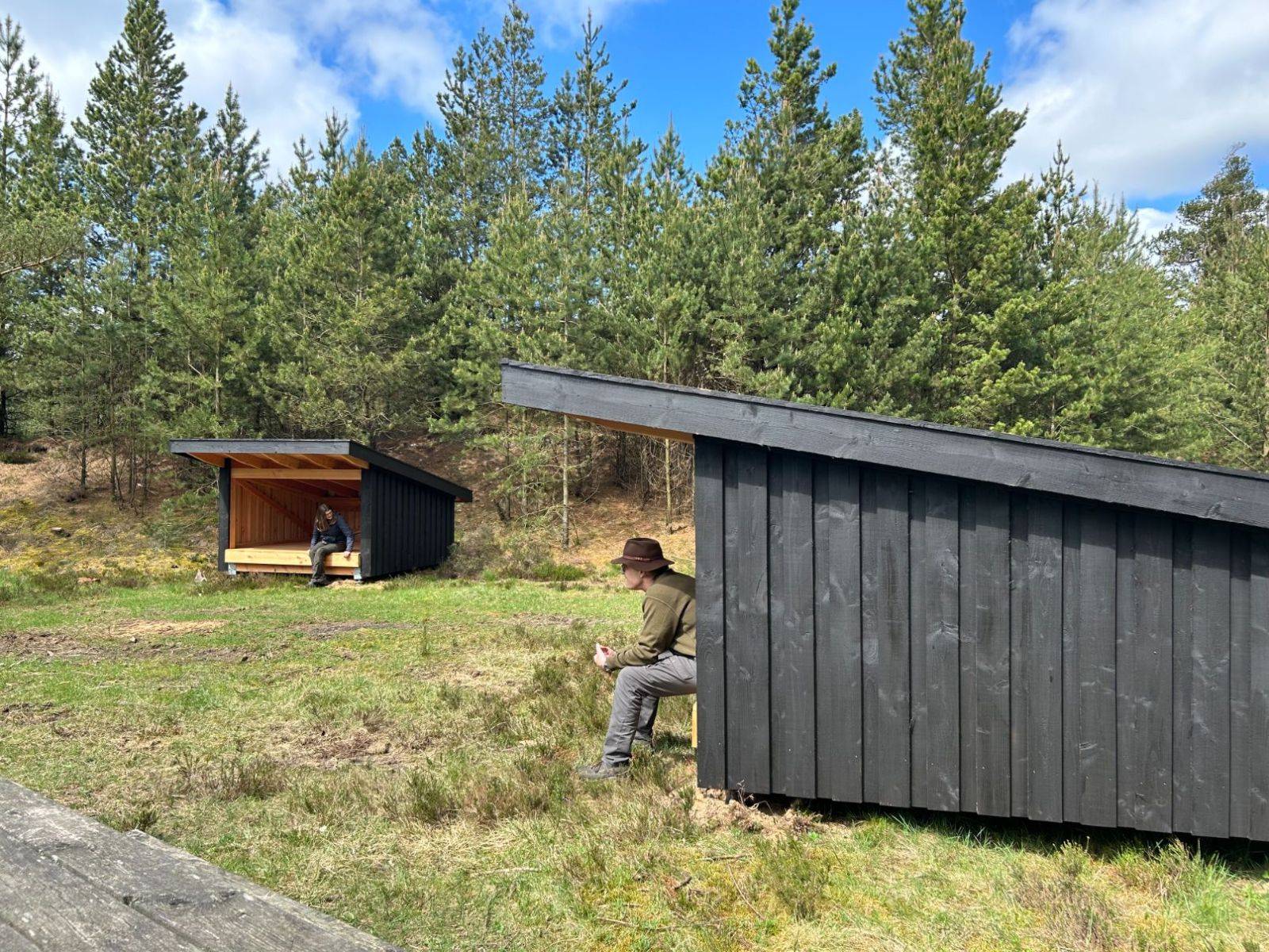 Billede af shelter Den gamle grusgrav, Nørlund Plantage - shelter 1 – billede 5