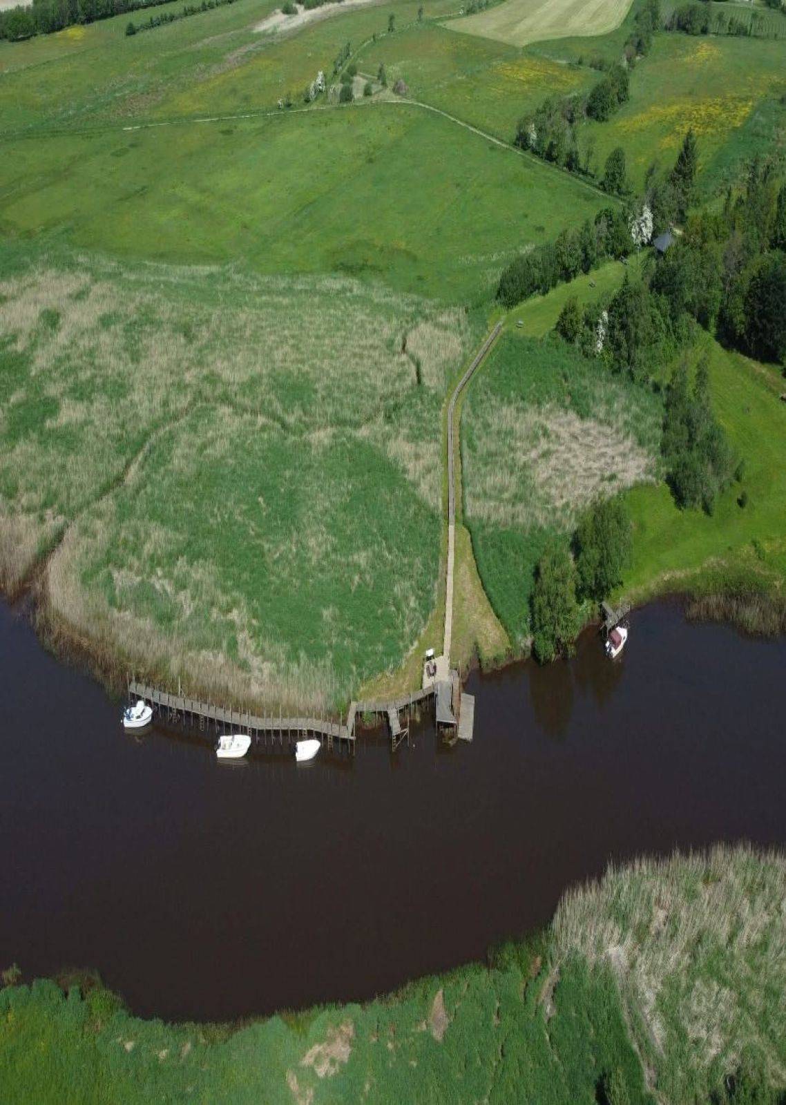 Billede af shelter Ved Janderup ladeplads og Kirke – billede 3