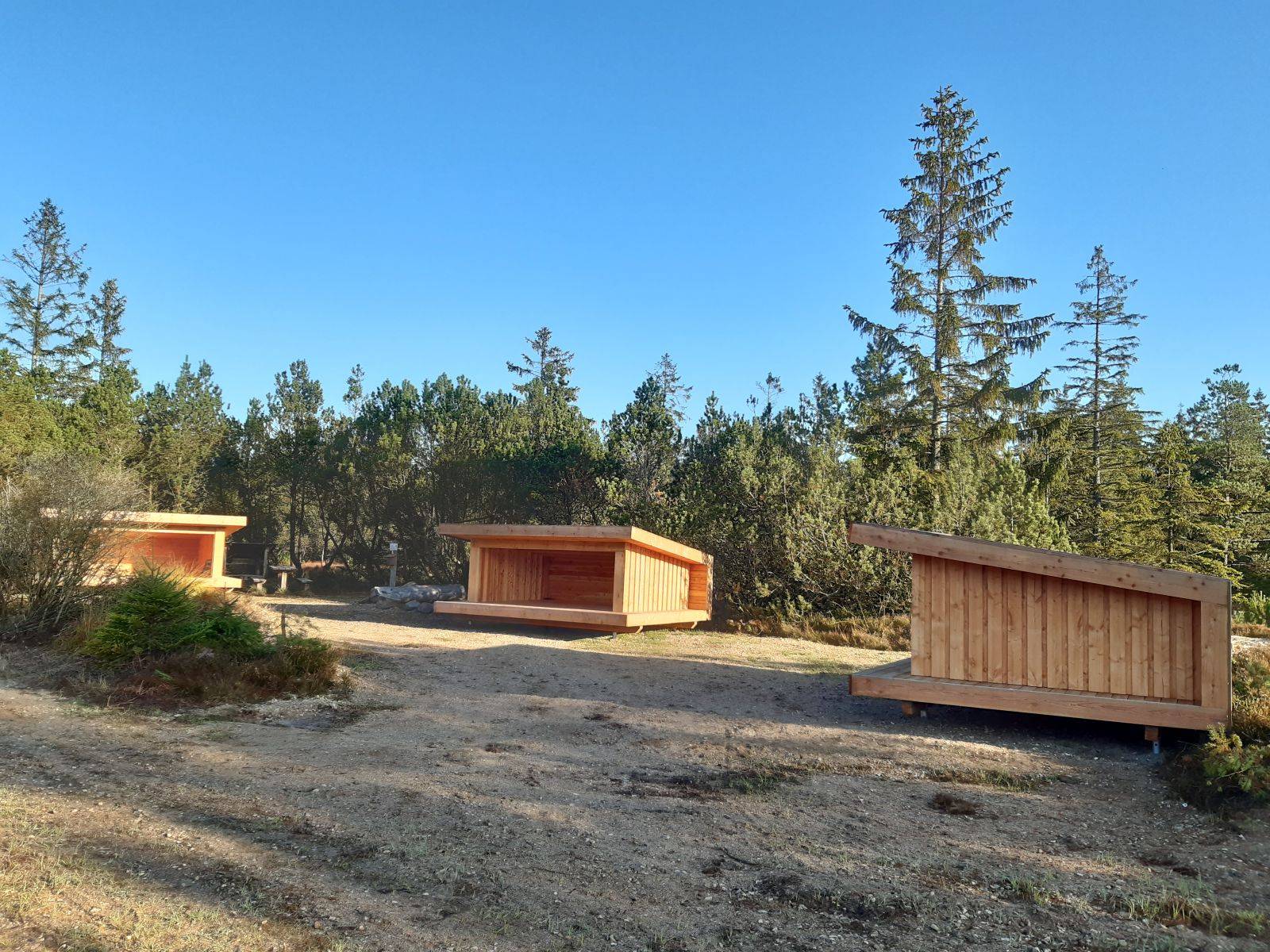 Billede af shelter Gludsted Plantage, shelterplads ved Trotylsøen (shelter 2)