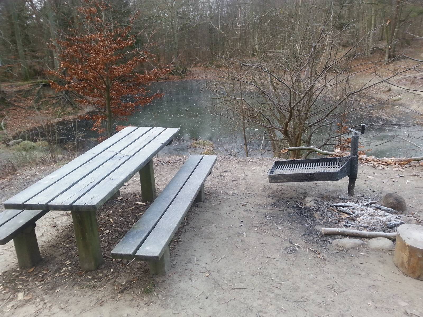 Billede af shelter Vandkalven Shelterplads i Tisvilde Hegn                                                                 