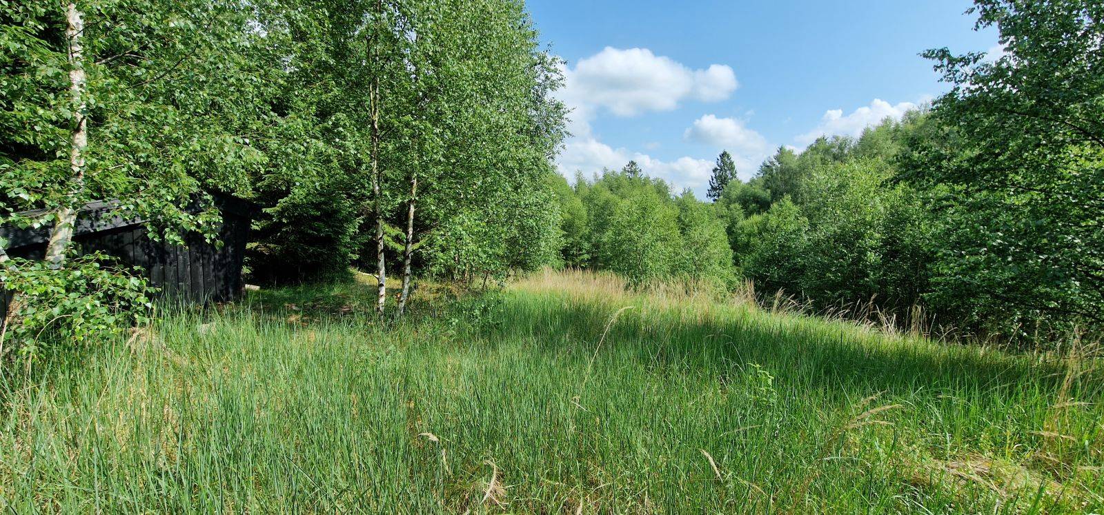 Billede af shelter Tornskaden shelter – billede 2