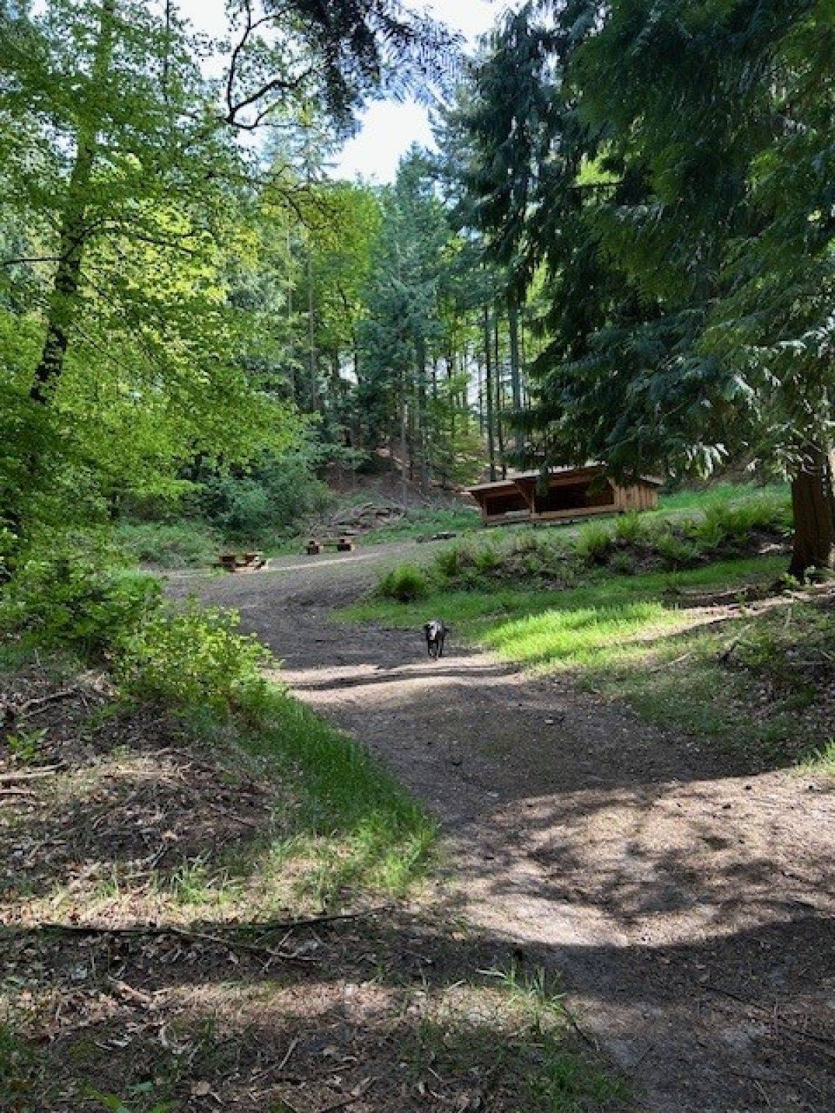 Billede af shelter Legind Bjerge, Gl. Friluftsscene – billede 4
