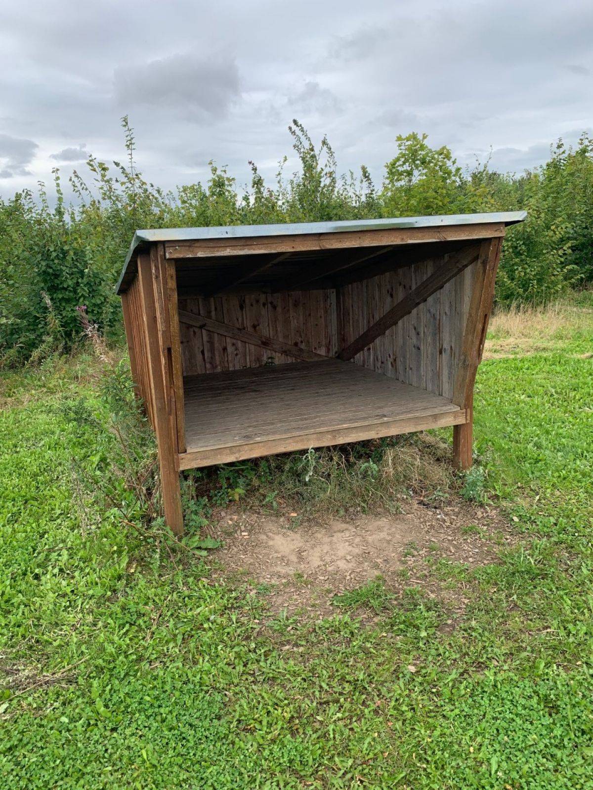 Billede af shelter Hadbjerg Skov Shelterplads – billede 4