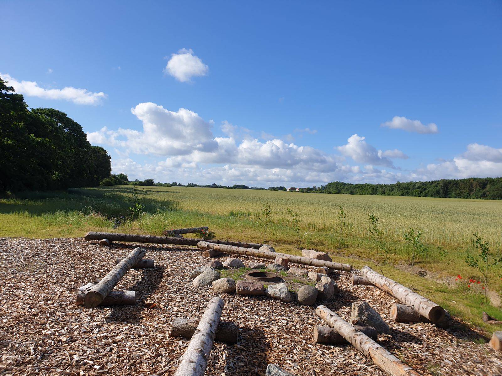 Billede af shelter Naturplads i Bjæverskov – billede 2