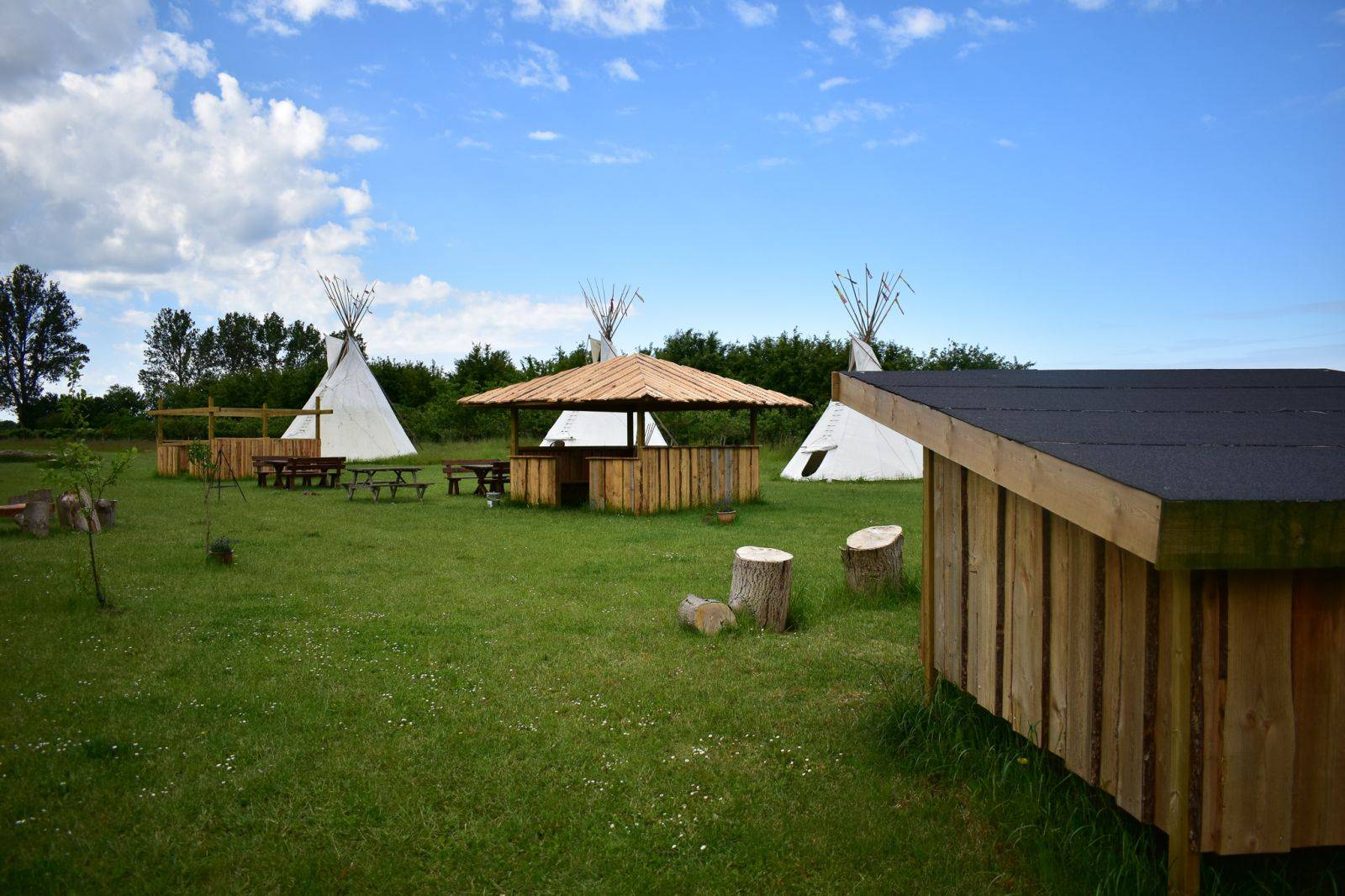 Billede af shelter Tipi og shelters i frugtplantagen – billede 4