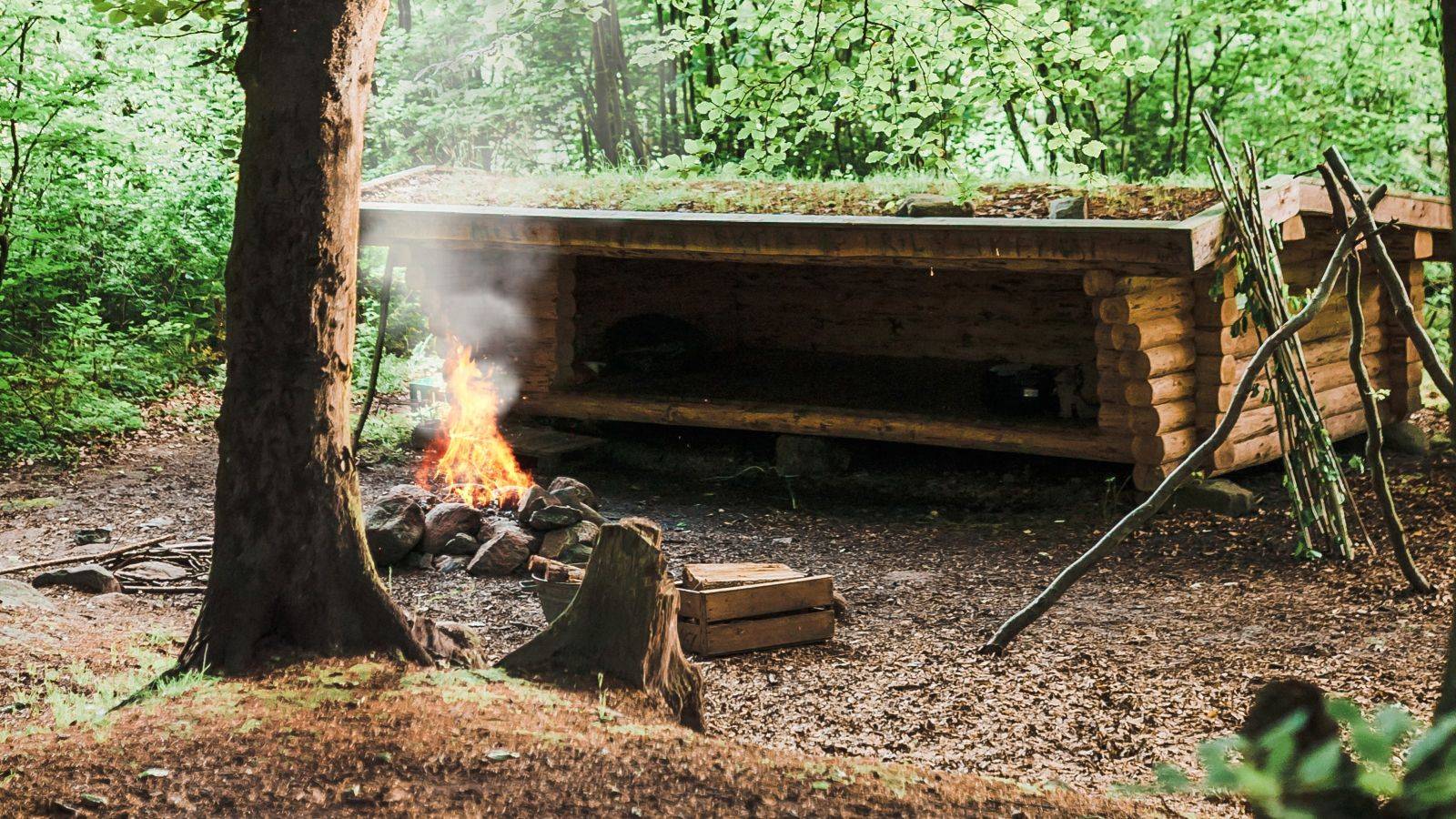 Billede af shelter Shelter i Lisbjerg gammel skov