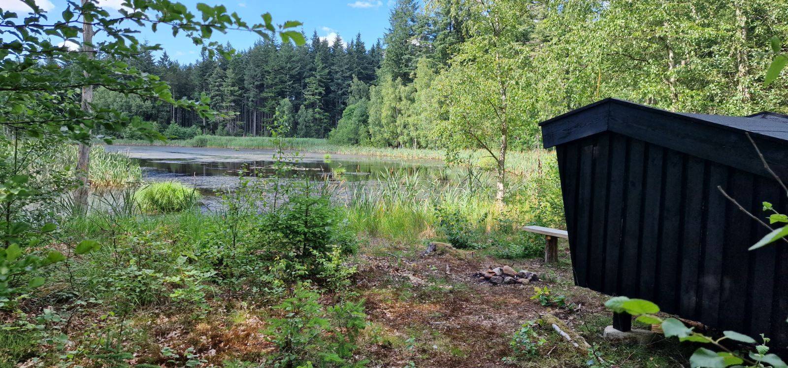 Billede af shelter Honningsvampen shelter – billede 2