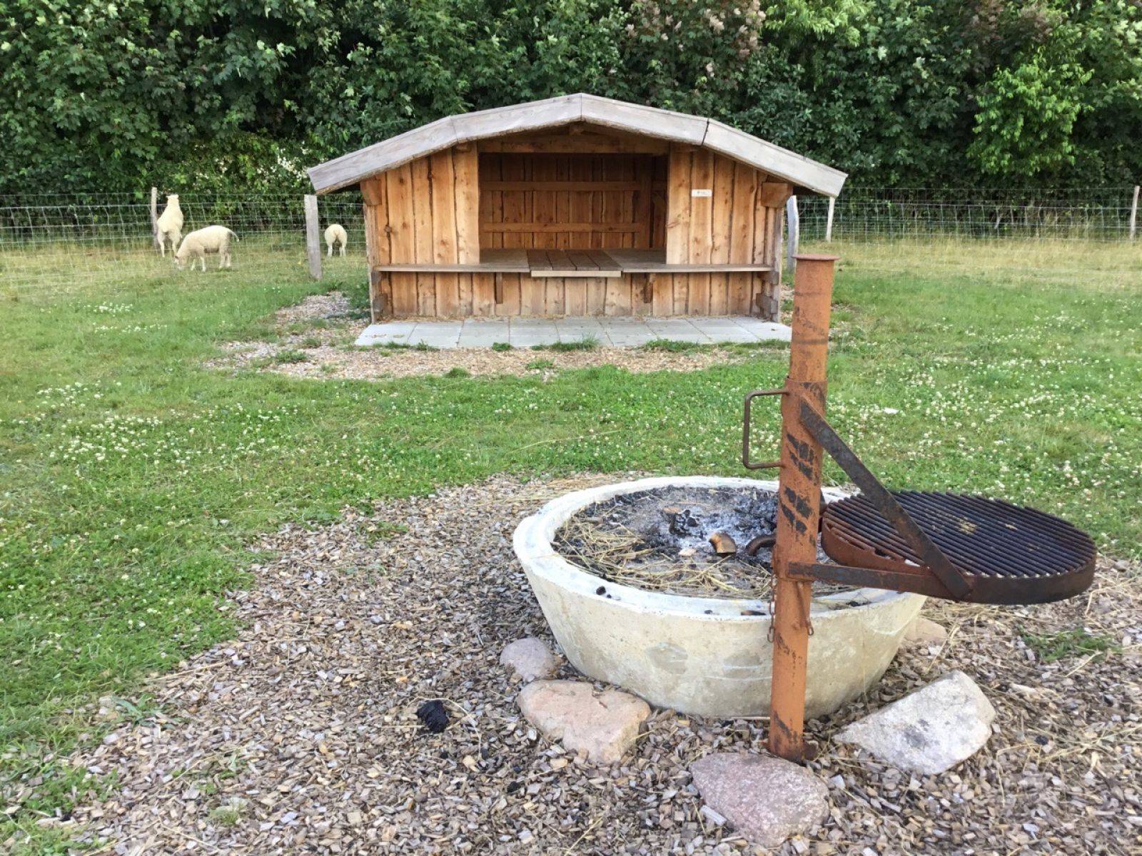 Billede af shelter Vejrup Landsbypark shelter 1