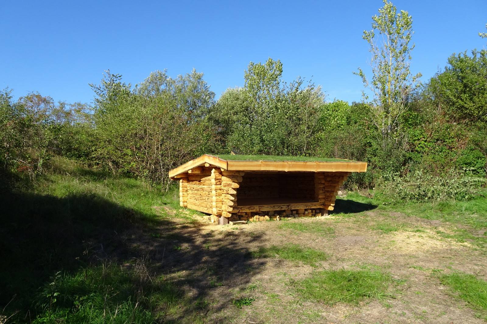 Billede af shelter Gl. Lejre shelteren                                – billede 4