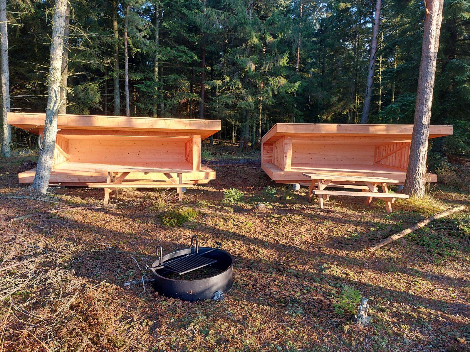 Billede af shelter Shelterplads - Grathe Hede (shelter 1) – billede 2