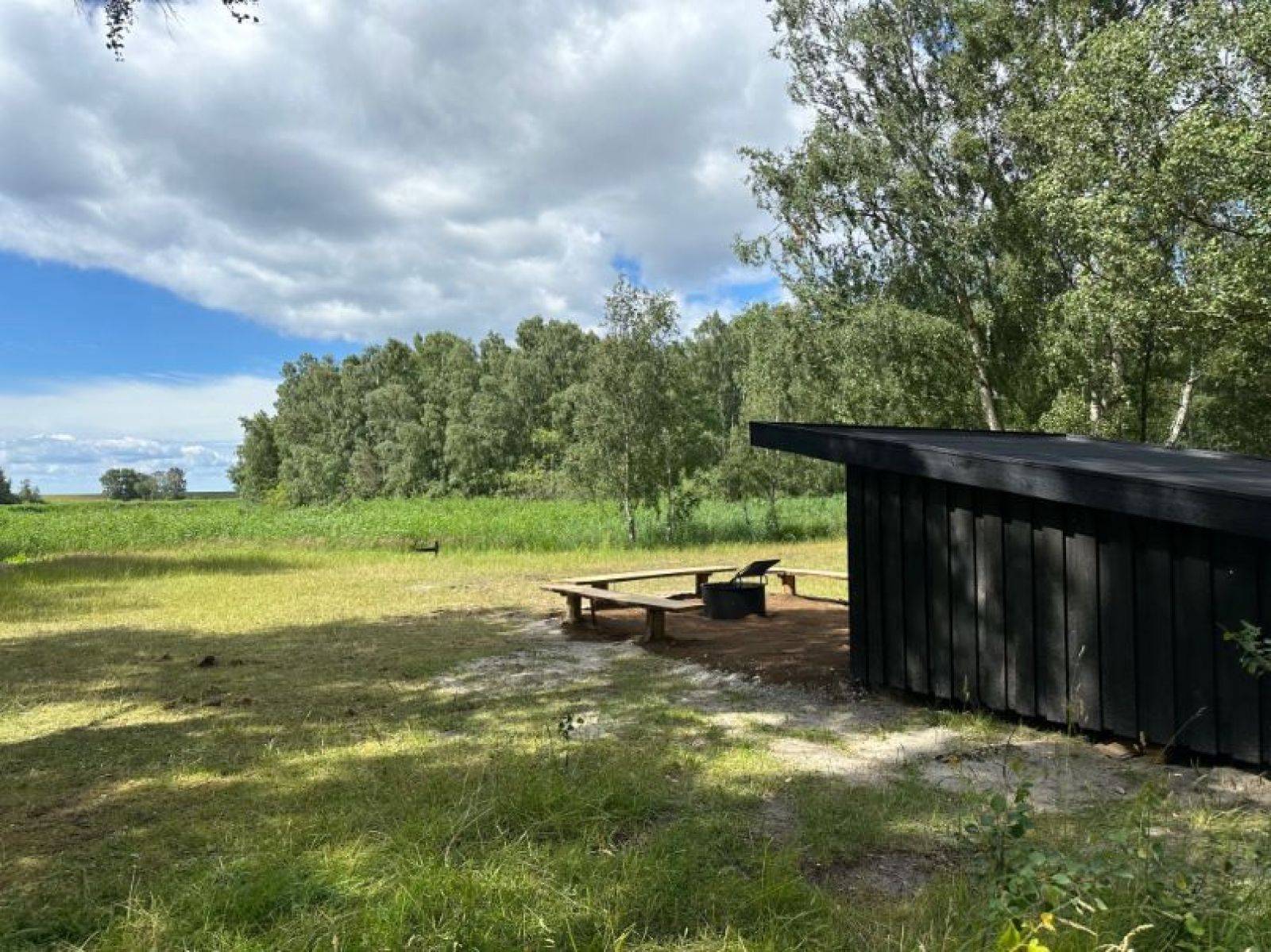 Billede af shelter Kalvebod Fælled, Fasanskoven, shelter ved Birkedammen – billede 2