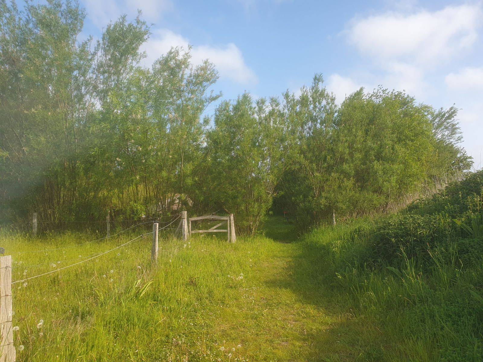 Billede af shelter Shelters ved Åstrup – billede 2