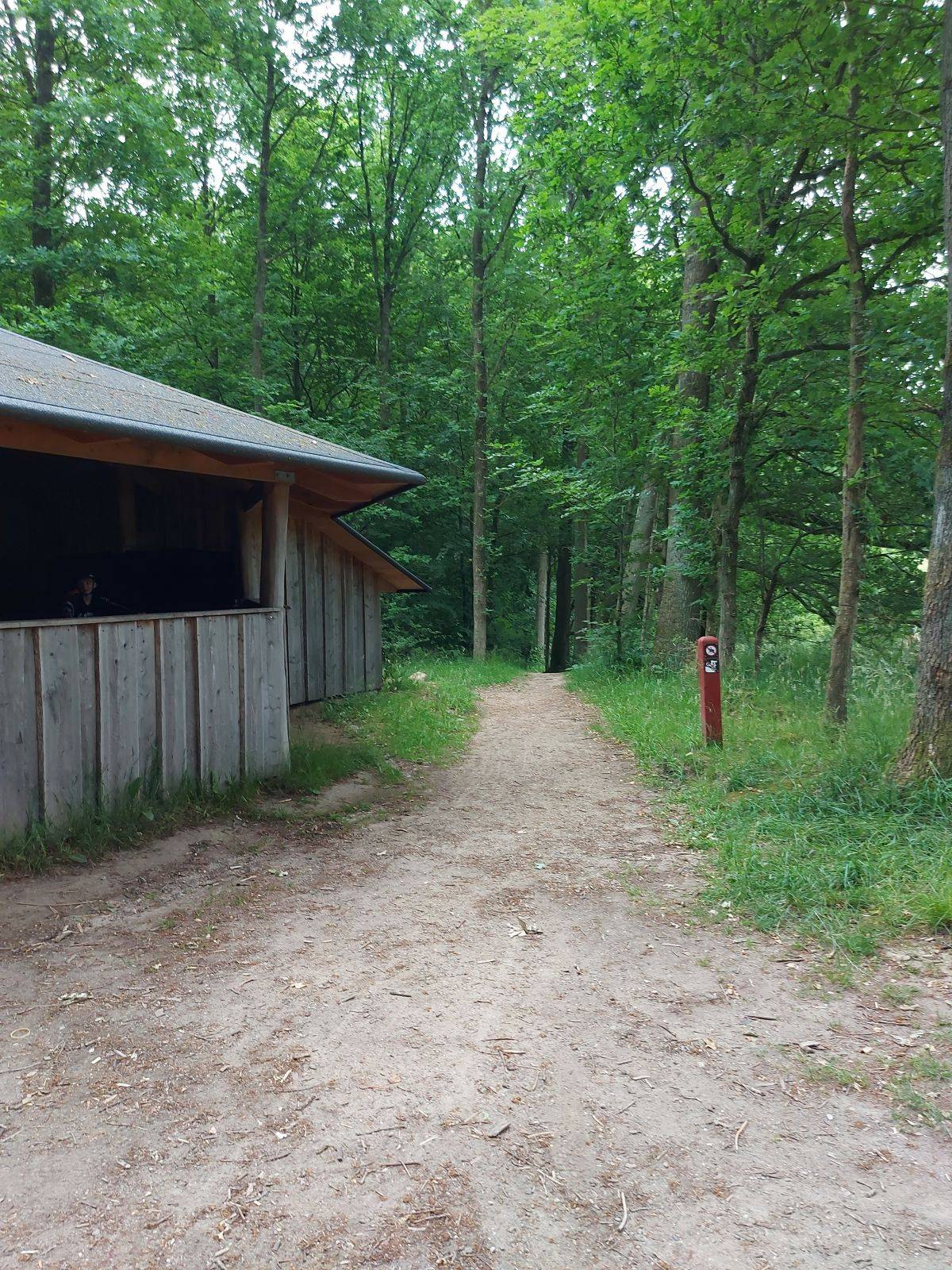 Billede af shelter Avnstrup shelteren – billede 7