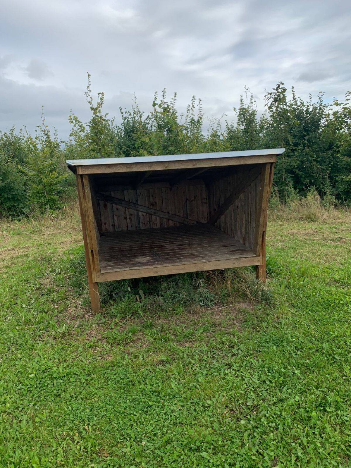 Billede af shelter Hadbjerg Skov Shelterplads – billede 3
