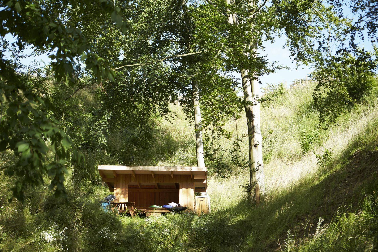 Billede af shelter Haldbjerg Naturcampus – billede 9