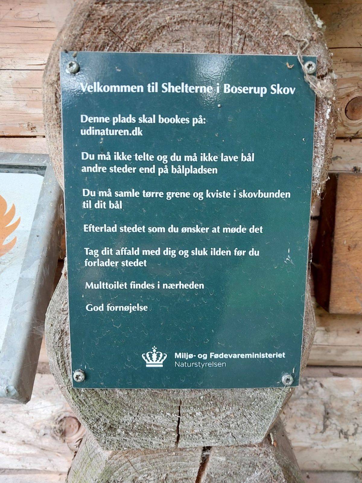 Billede af shelter Skjoldunge shelteret, Boserup skov – billede 7