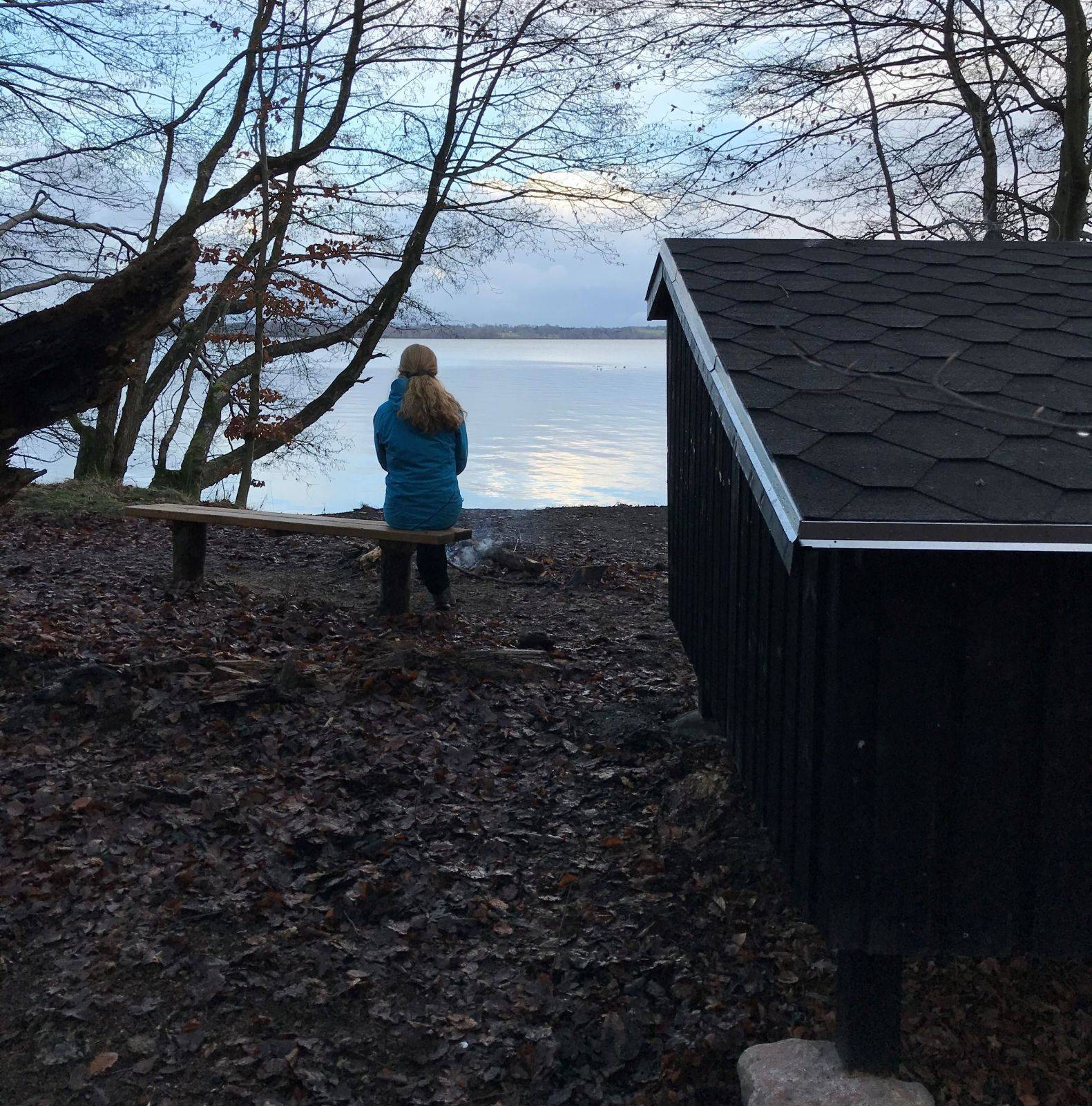 Billede af shelter Troldanden shelter