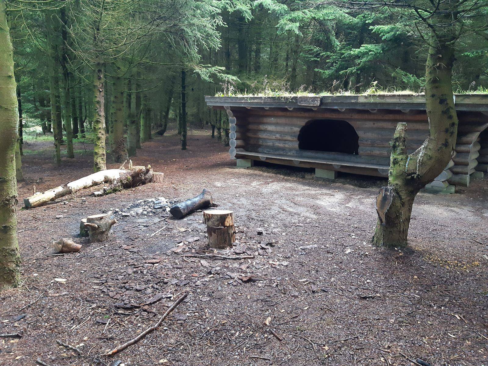 Billede af shelter Lejrplads Sjørup Skov  - shelter nr. 1 (bookbar)                    – billede 2