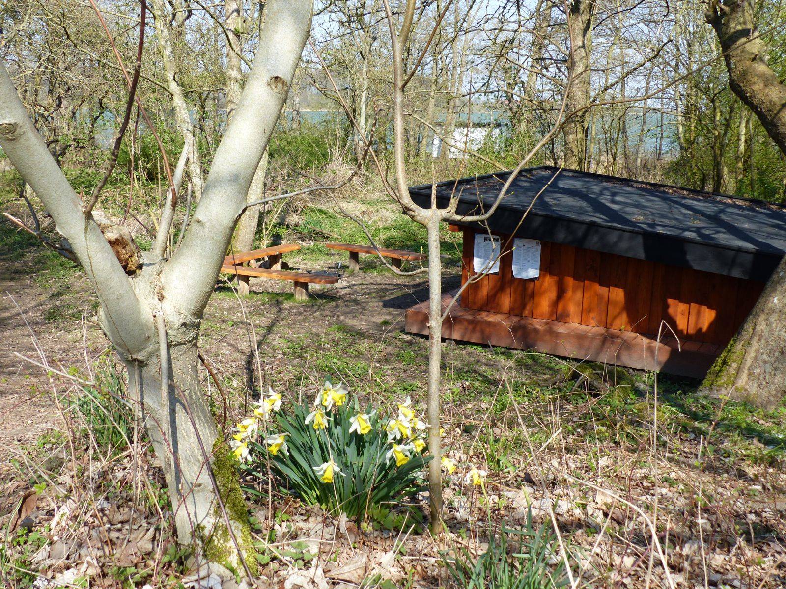 Billede af shelter Naturskolen