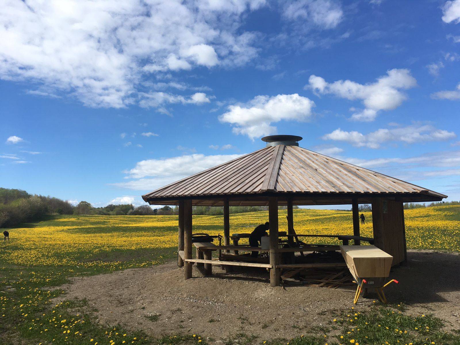 Billede af shelter Shelter, Dagløkke Skov – billede 4