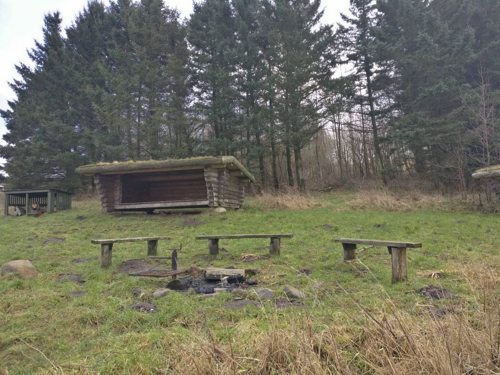 Billede af shelter Shelterplads ved Rødding Sø                       