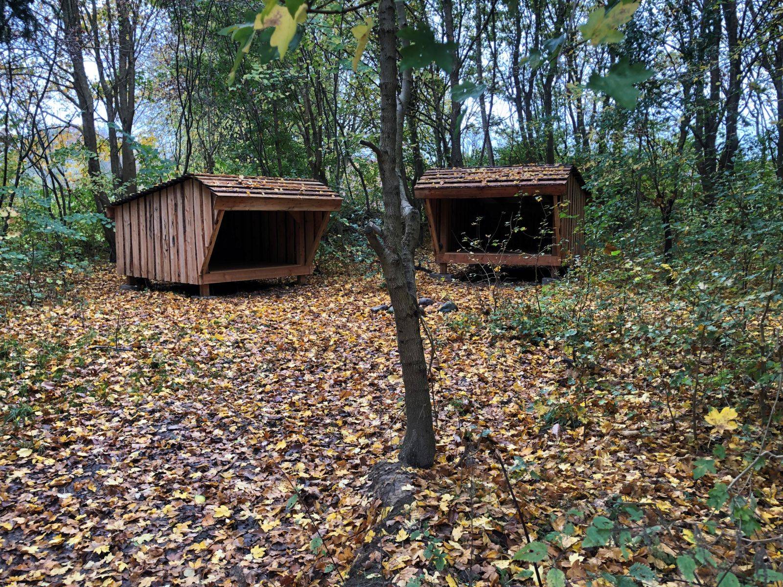Billede af shelter Høbjerghytten