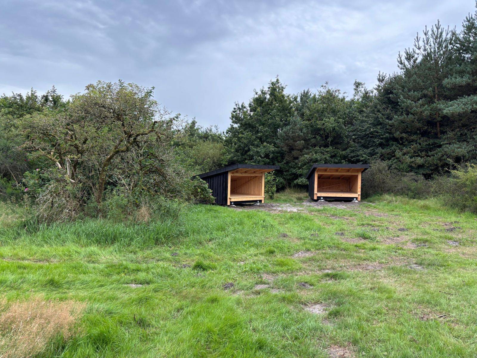 Billede af shelter Bjerreskov