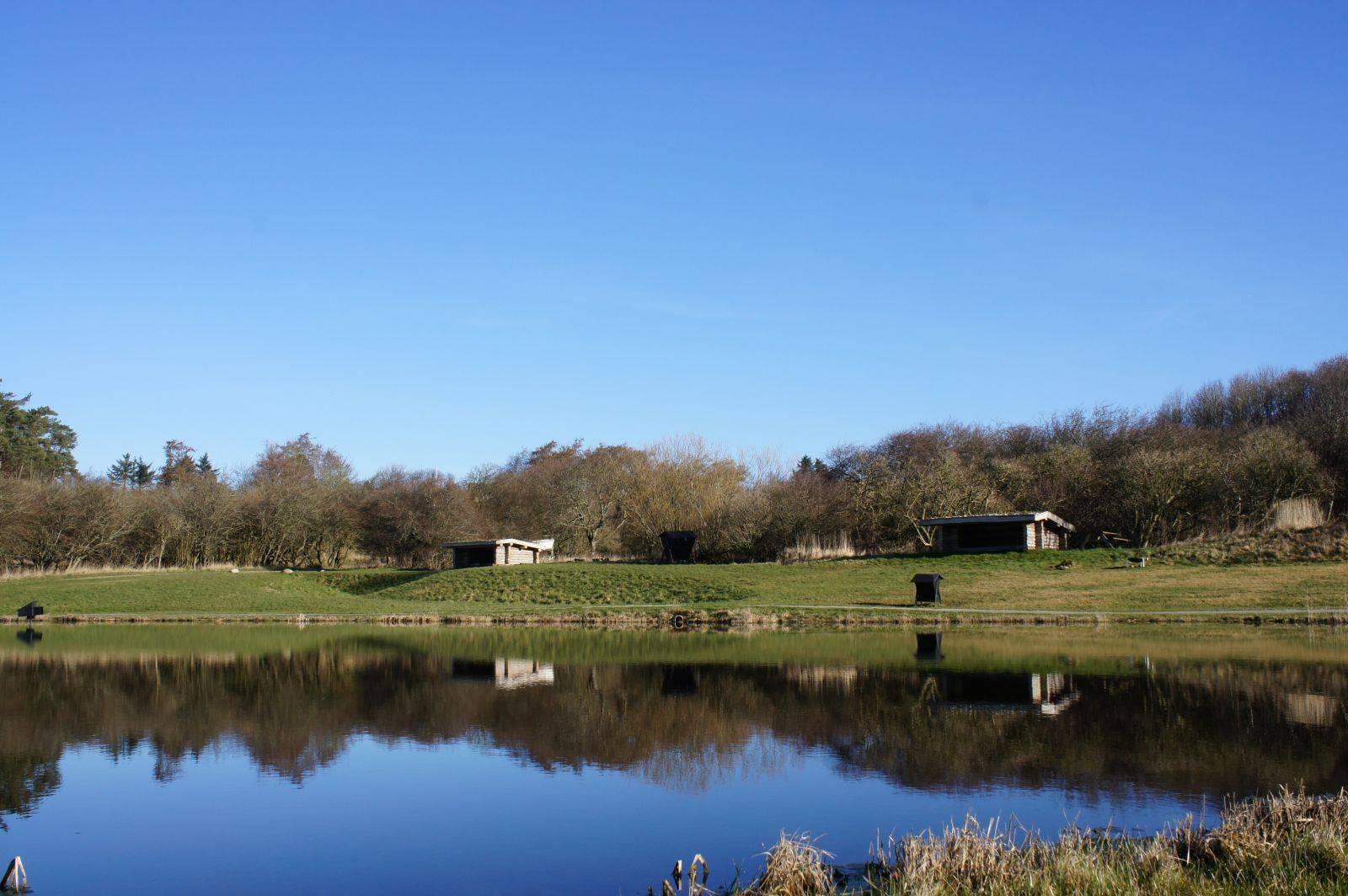Billede af shelter Shelters ved Gyldendal Havn – billede 7