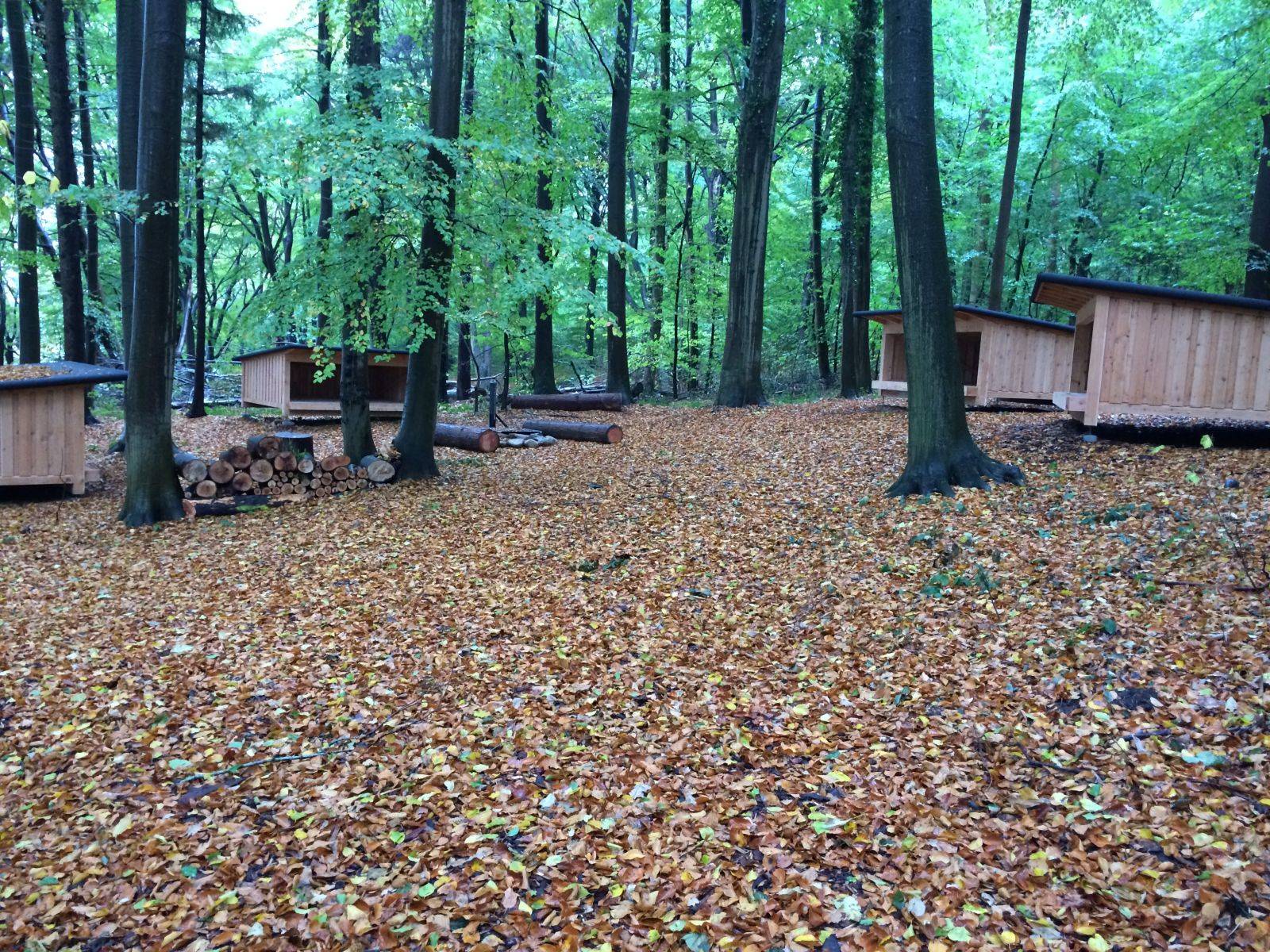 Billede af shelter Shelter 1  – billede 2