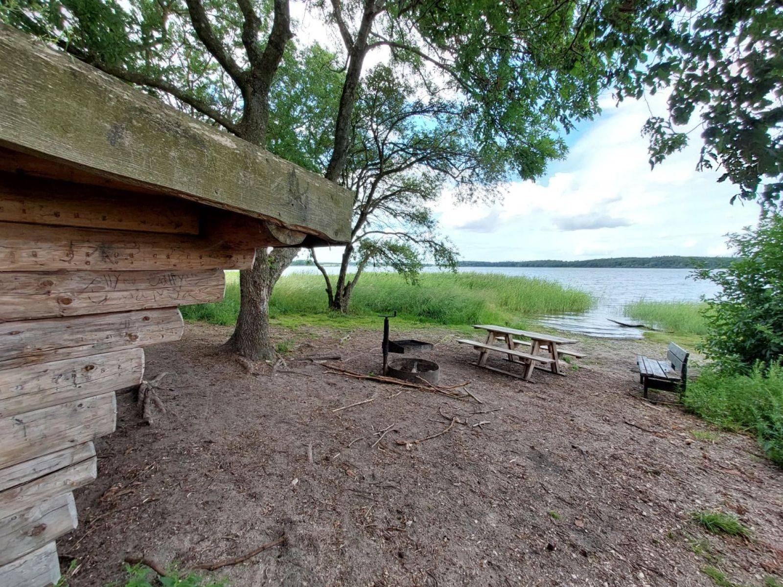 Billede af shelter Skjoldunge shelteret, Boserup skov – billede 3