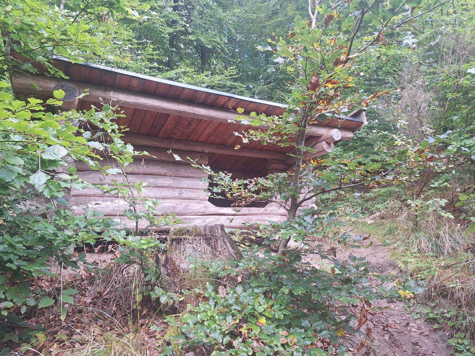 Billede af shelter Gribskov, Helledes Bakke – billede 2