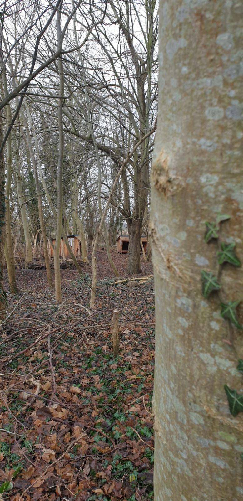 Billede af shelter Bisgaard Forte Fjorten – billede 6