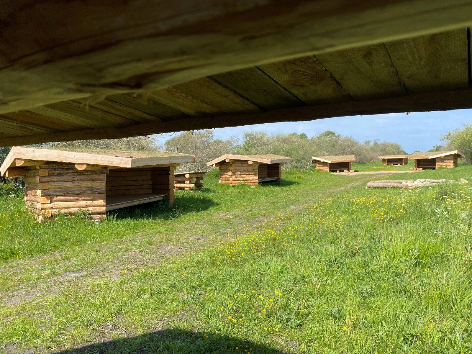 Billede af shelter Shelterplads ved Solvognens fundsted – billede 2