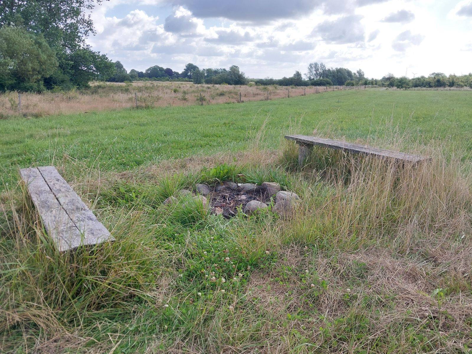 Billede af shelter Shelterplads i Tune Skov – billede 3