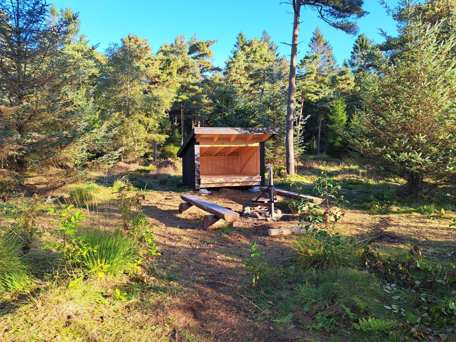 Billede af shelter Dolmosen shelterplads – billede 2