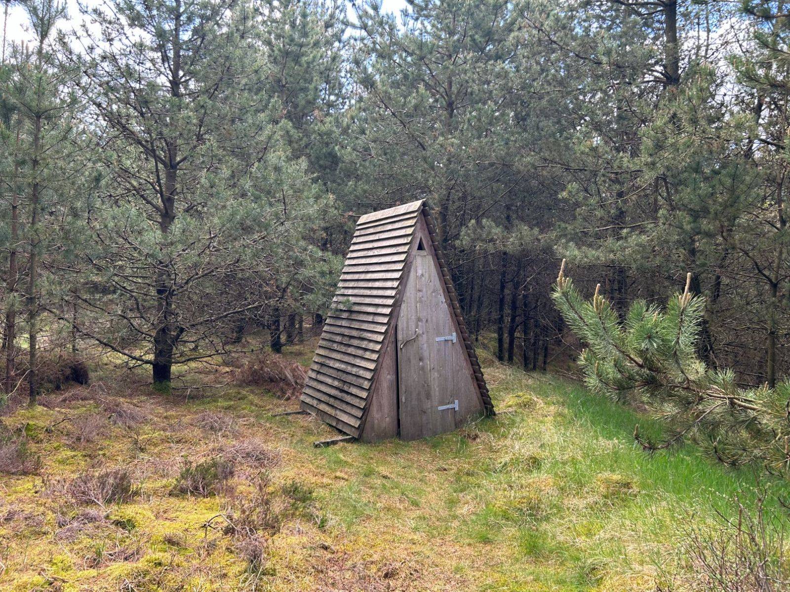 Billede af shelter Den gamle grusgrav, Nørlund Plantage - shelter 1 – billede 4
