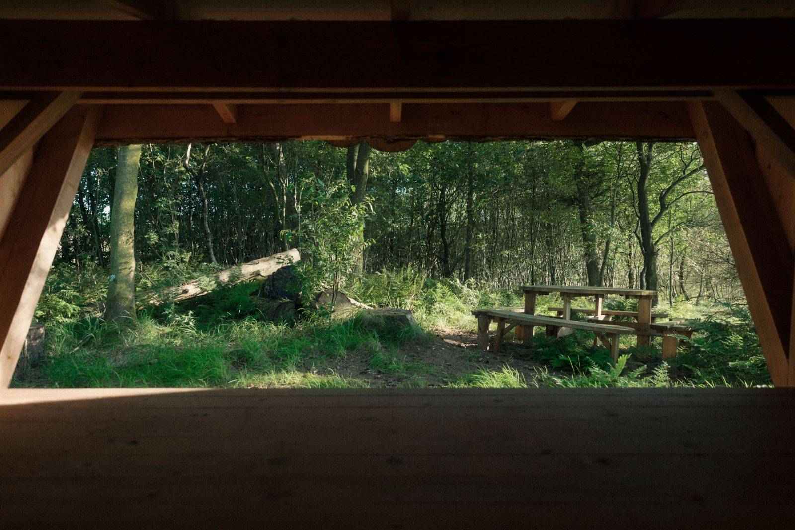 Billede af shelter Klink Gård - Arla ØKO Shelter – billede 3
