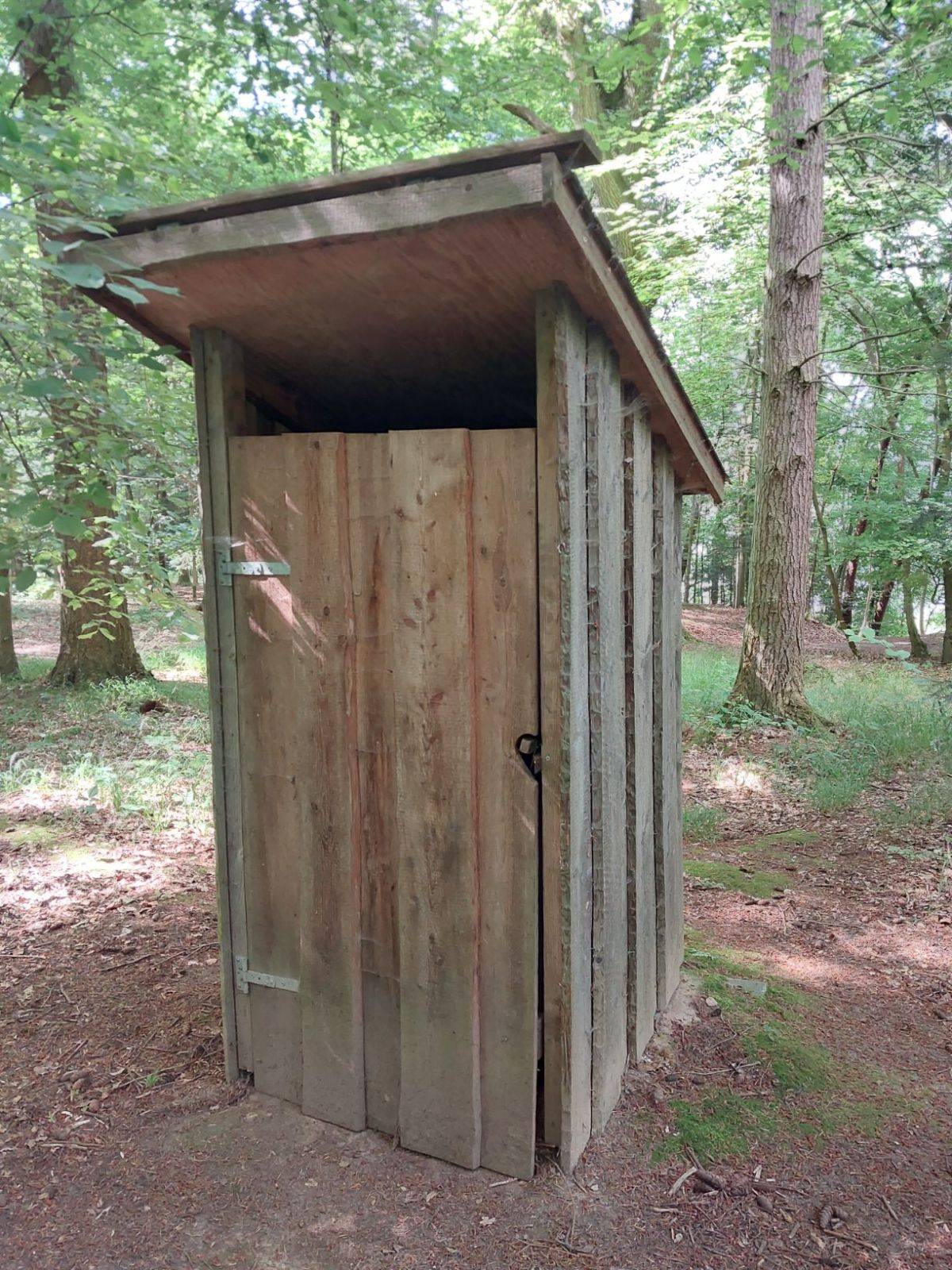 Billede af shelter Skjoldunge shelteret, Boserup skov – billede 9