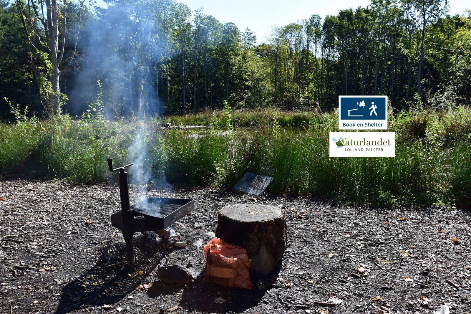 Billede af shelter Mysseskovens shelterplads – billede 4