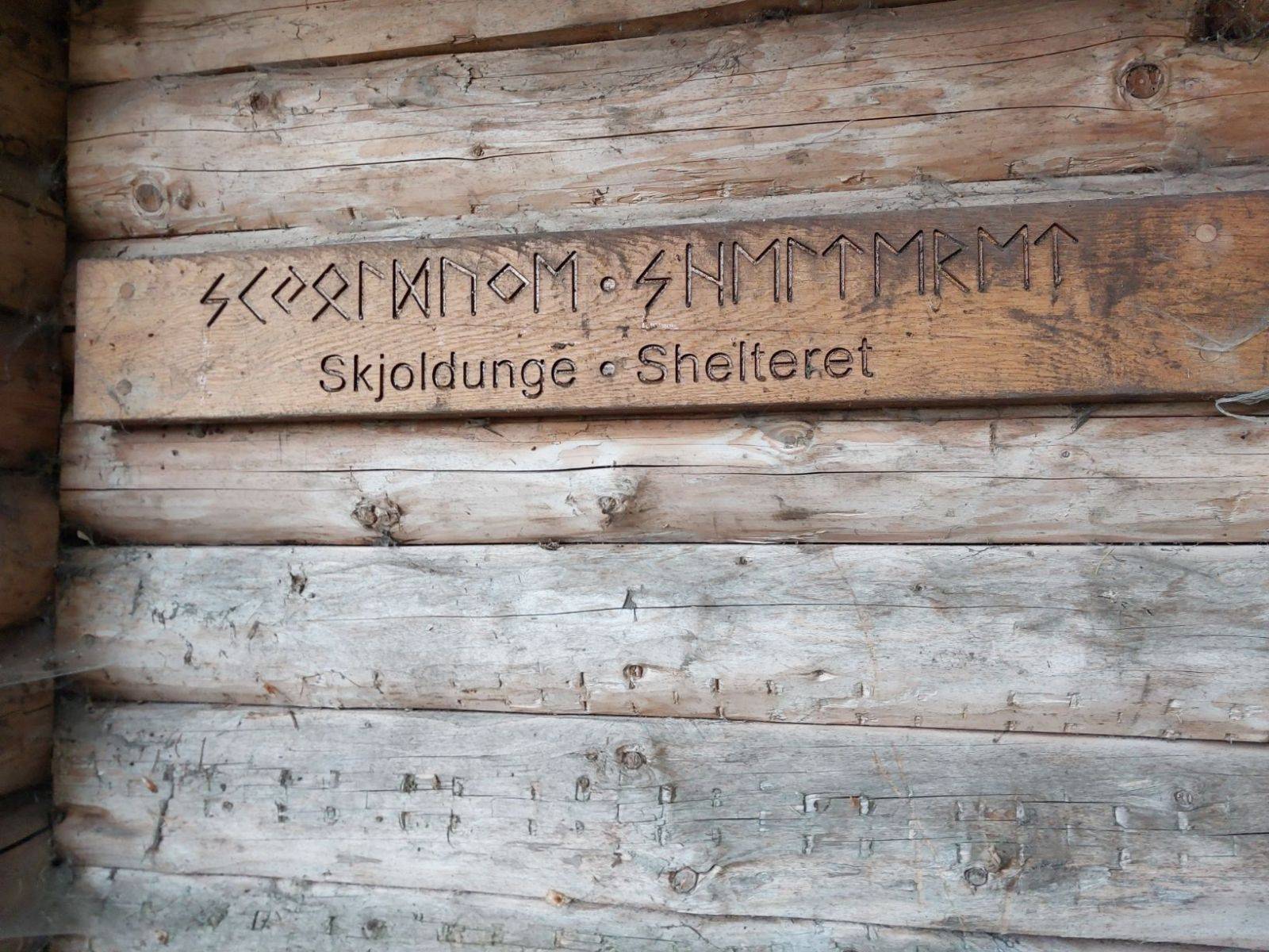 Billede af shelter Skjoldunge shelteret, Boserup skov – billede 6